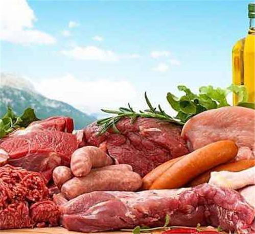 和康食品品类图鉴与从化食材配送餐饮管理指南